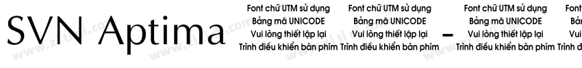 SVN Aptima 常规字体转换